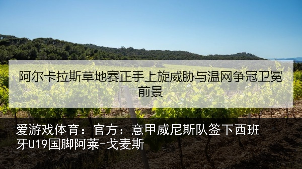 爱游戏体育：官方：意甲威尼斯队签下西班牙U19国脚阿莱-戈麦斯