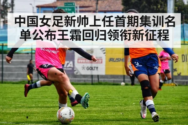 中国女足新帅上任首期集训名单公布王霜回归领衔新征程